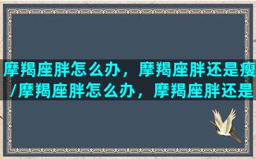 摩羯座胖怎么办，摩羯座胖还是瘦/摩羯座胖怎么办，摩羯座胖还是瘦-我的网站