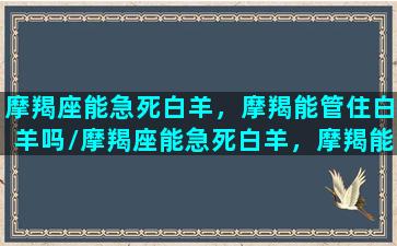 摩羯座能急死白羊，摩羯能管住白羊吗/摩羯座能急死白羊，摩羯能管住白羊吗-我的网站