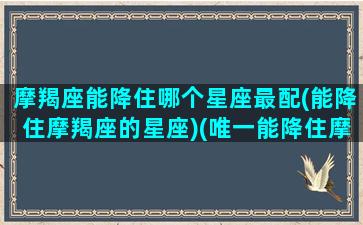 摩羯座能降住哪个星座最配(能降住摩羯座的星座)(唯一能降住摩羯座的)