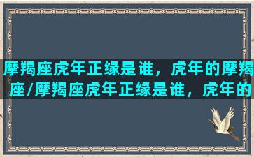 摩羯座虎年正缘是谁，虎年的摩羯座/摩羯座虎年正缘是谁，虎年的摩羯座-我的网站