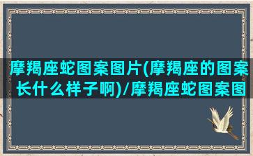 摩羯座蛇图案图片(摩羯座的图案长什么样子啊)/摩羯座蛇图案图片(摩羯座的图案长什么样子啊)-我的网站