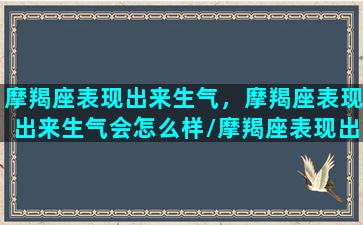 摩羯座表现出来生气，摩羯座表现出来生气会怎么样/摩羯座表现出来生气，摩羯座表现出来生气会怎么样-我的网站