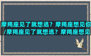 摩羯座见了就想逃？摩羯座想见你/摩羯座见了就想逃？摩羯座想见你-我的网站