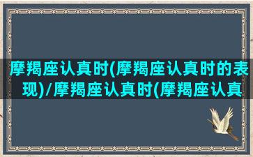 摩羯座认真时(摩羯座认真时的表现)/摩羯座认真时(摩羯座认真时的表现)-我的网站