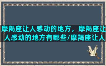 摩羯座让人感动的地方，摩羯座让人感动的地方有哪些/摩羯座让人感动的地方，摩羯座让人感动的地方有哪些-我的网站