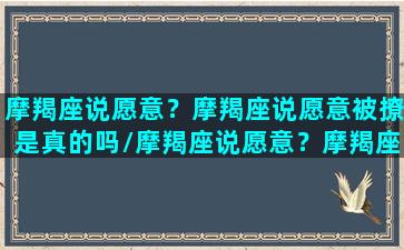 摩羯座说愿意？摩羯座说愿意被撩是真的吗/摩羯座说愿意？摩羯座说愿意被撩是真的吗-我的网站