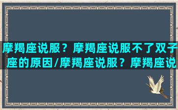 摩羯座说服？摩羯座说服不了双子座的原因/摩羯座说服？摩羯座说服不了双子座的原因-我的网站