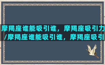 摩羯座谁能吸引谁，摩羯座吸引力/摩羯座谁能吸引谁，摩羯座吸引力-我的网站