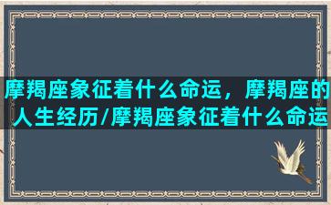 摩羯座象征着什么命运，摩羯座的人生经历/摩羯座象征着什么命运，摩羯座的人生经历-我的网站