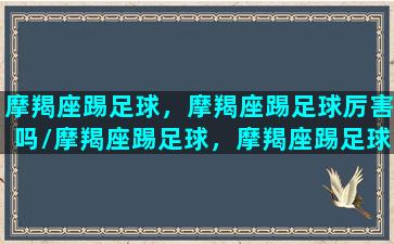 摩羯座踢足球，摩羯座踢足球厉害吗/摩羯座踢足球，摩羯座踢足球厉害吗-我的网站