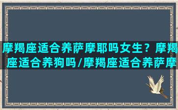 摩羯座适合养萨摩耶吗女生？摩羯座适合养狗吗/摩羯座适合养萨摩耶吗女生？摩羯座适合养狗吗-我的网站