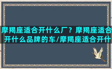 摩羯座适合开什么厂？摩羯座适合开什么品牌的车/摩羯座适合开什么厂？摩羯座适合开什么品牌的车-我的网站