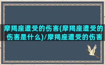 摩羯座遭受的伤害(摩羯座遭受的伤害是什么)/摩羯座遭受的伤害(摩羯座遭受的伤害是什么)-我的网站