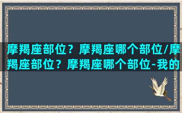 摩羯座部位？摩羯座哪个部位/摩羯座部位？摩羯座哪个部位-我的网站(摩羯座代表部位)