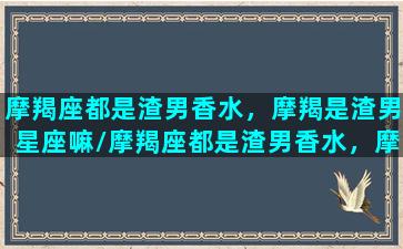 摩羯座都是渣男香水，摩羯是渣男星座嘛/摩羯座都是渣男香水，摩羯是渣男星座嘛-我的网站