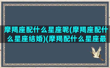 摩羯座配什么星座呢(摩羯座配什么星座结婚)(摩羯配什么星座最好)