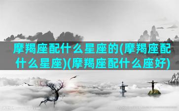 摩羯座配什么星座的(摩羯座配什么星座)(摩羯座配什么座好)