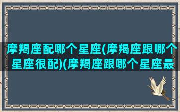 摩羯座配哪个星座(摩羯座跟哪个星座很配)(摩羯座跟哪个星座最配)