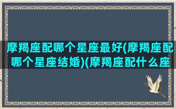 摩羯座配哪个星座最好(摩羯座配哪个星座结婚)(摩羯座配什么座好)