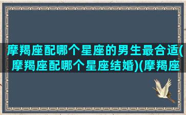 摩羯座配哪个星座的男生最合适(摩羯座配哪个星座结婚)(摩羯座配什么星座的男生)