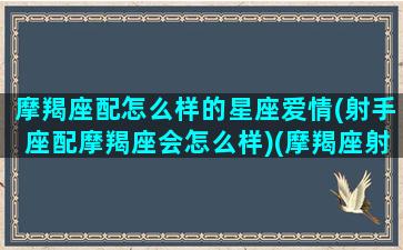 摩羯座配怎么样的星座爱情(射手座配摩羯座会怎么样)(摩羯座射手座配对指数)