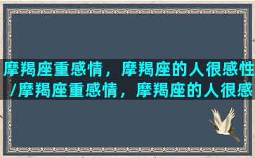 摩羯座重感情，摩羯座的人很感性/摩羯座重感情，摩羯座的人很感性-我的网站