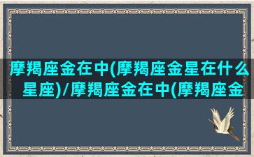 摩羯座金在中(摩羯座金星在什么星座)/摩羯座金在中(摩羯座金星在什么星座)-我的网站