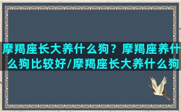 摩羯座长大养什么狗？摩羯座养什么狗比较好/摩羯座长大养什么狗？摩羯座养什么狗比较好-我的网站