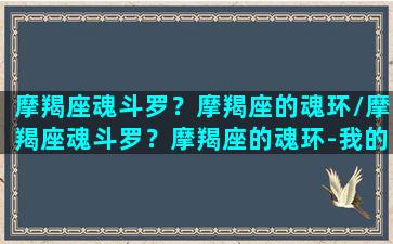 摩羯座魂斗罗？摩羯座的魂环/摩羯座魂斗罗？摩羯座的魂环-我的网站(摩羯座在斗罗大陆是谁)