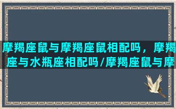 摩羯座鼠与摩羯座鼠相配吗，摩羯座与水瓶座相配吗/摩羯座鼠与摩羯座鼠相配吗，摩羯座与水瓶座相配吗-我的网站