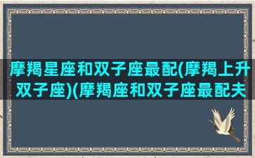 摩羯星座和双子座最配(摩羯上升双子座)(摩羯座和双子座最配夫妻)