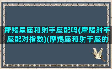 摩羯星座和射手座配吗(摩羯射手座配对指数)(摩羯座和射手座的配对指数)