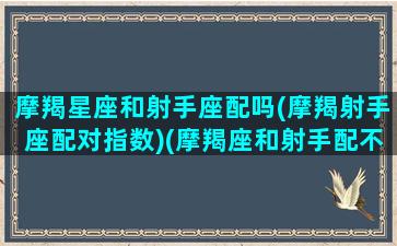 摩羯星座和射手座配吗(摩羯射手座配对指数)(摩羯座和射手配不配)