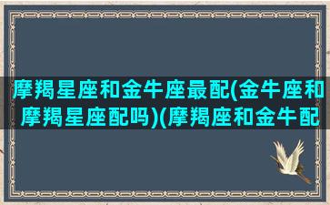 摩羯星座和金牛座最配(金牛座和摩羯星座配吗)(摩羯座和金牛配不配)