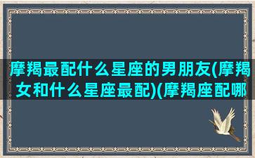 摩羯最配什么星座的男朋友(摩羯女和什么星座最配)(摩羯座配哪个星座的男生)