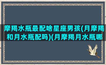 摩羯水瓶最配啥星座男孩(月摩羯和月水瓶配吗)(月摩羯月水瓶哪个厉害)