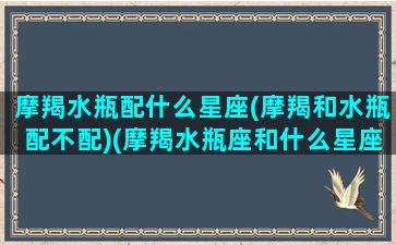 摩羯水瓶配什么星座(摩羯和水瓶配不配)(摩羯水瓶座和什么星座最配)