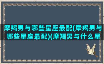 摩羯男与哪些星座最配(摩羯男与哪些星座最配)(摩羯男与什么星座最配)