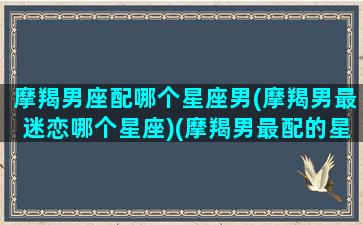 摩羯男座配哪个星座男(摩羯男最迷恋哪个星座)(摩羯男最配的星座排名)