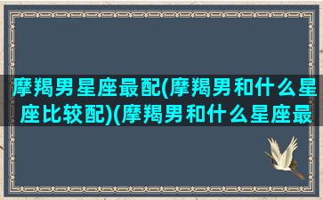 摩羯男星座最配(摩羯男和什么星座比较配)(摩羯男和什么星座最配排行榜)