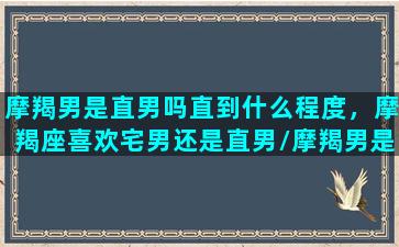 摩羯男是直男吗直到什么程度，摩羯座喜欢宅男还是直男/摩羯男是直男吗直到什么程度，摩羯座喜欢宅男还是直男-我的网站