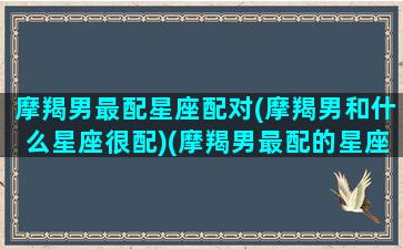 摩羯男最配星座配对(摩羯男和什么星座很配)(摩羯男最配的星座排名)