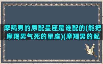 摩羯男的原配星座是谁配的(能把摩羯男气死的星座)(摩羯男的配偶)