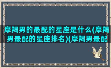 摩羯男的最配的星座是什么(摩羯男最配的星座排名)(摩羯男最配什么星座女生)