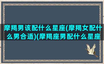 摩羯男该配什么星座(摩羯女配什么男合适)(摩羯座男配什么星座女最好)