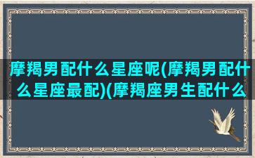 摩羯男配什么星座呢(摩羯男配什么星座最配)(摩羯座男生配什么星座最好)