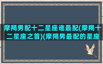 摩羯男配十二星座谁最配(摩羯十二星座之首)(摩羯男最配的星座)