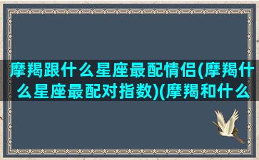 摩羯跟什么星座最配情侣(摩羯什么星座最配对指数)(摩羯和什么星座最相配)