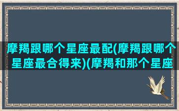 摩羯跟哪个星座最配(摩羯跟哪个星座最合得来)(摩羯和那个星座配)