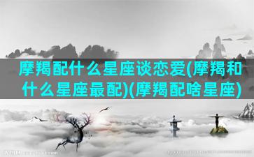 摩羯配什么星座谈恋爱(摩羯和什么星座最配)(摩羯配啥星座)